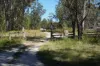 1293 Mount Lindesay Road, Tenterfield, NSW 2372-Image