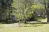 1293 Mount Lindesay Road, Tenterfield, NSW 2372-Image