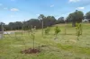 13 Bell Lane, Mummel NSW 2580-Image