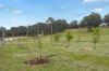 13 Bell Lane, Mummel NSW 2580-Image