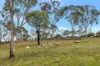 13 Charles Road, Mudgee, NSW 2850-Image
