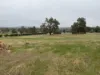 13 Days Road, Boddington, WA 6390