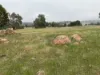 13 Days Road, Boddington, WA 6390-Image