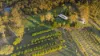 13 Short Cut Road, Delan, Qld 4671-Image