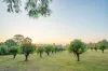 13 Short Cut Road, Delan, Qld 4671-Image