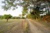 13 Short Cut Road, Delan, Qld 4671-Image