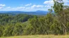 130 & 132 Mud Flat Road, Drake, NSW 2469