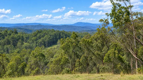 130 & 132 Mud Flat Road, Drake, NSW 2469