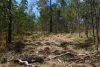 130 & 132 Mud Flat Road, Drake, NSW 2469-Image