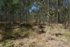 130 & 132 Mud Flat Road, Drake, NSW 2469-Image