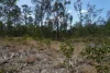 130 & 132 Mud Flat Road, Drake, NSW 2469-Image