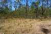 130 & 132 Mud Flat Road, Drake, NSW 2469-Image