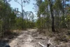 130 & 132 Mud Flat Road, Drake, NSW 2469-Image