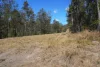 130 & 132 Mud Flat Road, Drake, NSW 2469-Image