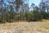 130 & 132 Mud Flat Road, Drake, NSW 2469-Image