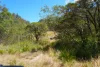 130 & 132 Mud Flat Road, Drake, NSW 2469-Image