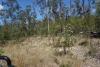 130 & 132 Mud Flat Road, Drake, NSW 2469-Image