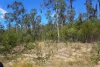 130 & 132 Mud Flat Road, Drake, NSW 2469-Image