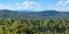 130 & 132 Mud Flat Road, Drake, NSW 2469-Image