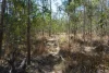 130 & 132 Mud Flat Road, Drake, NSW 2469-Image