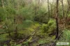 130 Ryans Rise, Clonbinane, Vic 3658-Image
