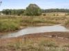 130 Tuites Lane, Biarra, Qld 4313-Image