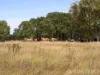 130 Tuites Lane, Biarra, Qld 4313-Image