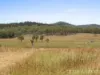 130 Tuites Lane, Biarra, Qld 4313-Image