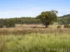 130 Tuites Lane, Biarra, Qld 4313-Image