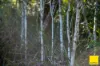 130 Wards Road, Dorrigo NSW 2453-Image