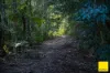 130 Wards Road, Dorrigo NSW 2453-Image