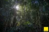 130 Wards Road, Dorrigo NSW 2453-Image