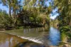 1301 Chichester Dam Road, Dungog, NSW 2420-Image