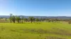 1301 Chichester Dam Road, Dungog, NSW 2420-Image