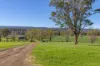 1301 Chichester Dam Road, Dungog, NSW 2420-Image