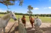1305 Carlwood Road, O'Connell, NSW 2795-Image