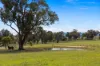 1305 Carlwood Road, O'Connell, NSW 2795-Image