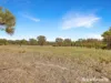 1307 Ophir Road, Rock Forest, NSW 2795-Image