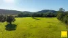 131, Crawford River NSW 2423-Image