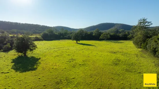131, Crawford River NSW 2423-Image