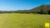 131, Crawford River NSW 2423-Image