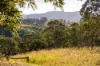 131 Days Road, Belbora NSW 2422-Image