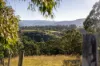 131 Days Road, Belbora NSW 2422-Image