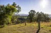 131 Days Road, Belbora NSW 2422-Image