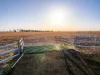 131 Duke Street South, Roma, Qld 4455-Image