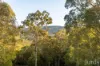 131 Rodney Road, Mount Vincent, NSW 2323-Image