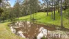 131 Rodney Road, Mount Vincent, NSW 2323-Image