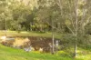 131 Rodney Road, Mount Vincent, NSW 2323-Image