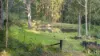 131 Rodney Road, Mount Vincent, NSW 2323-Image