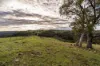 1316 Bundalah Road, Euchareena, NSW 2866